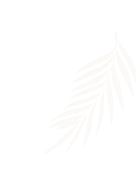 leyuyuyunnuo以聚焦体育细分领域，提供深度行业洞察。为核心，带来高效便捷的体验。 - leyuyuyunnuo